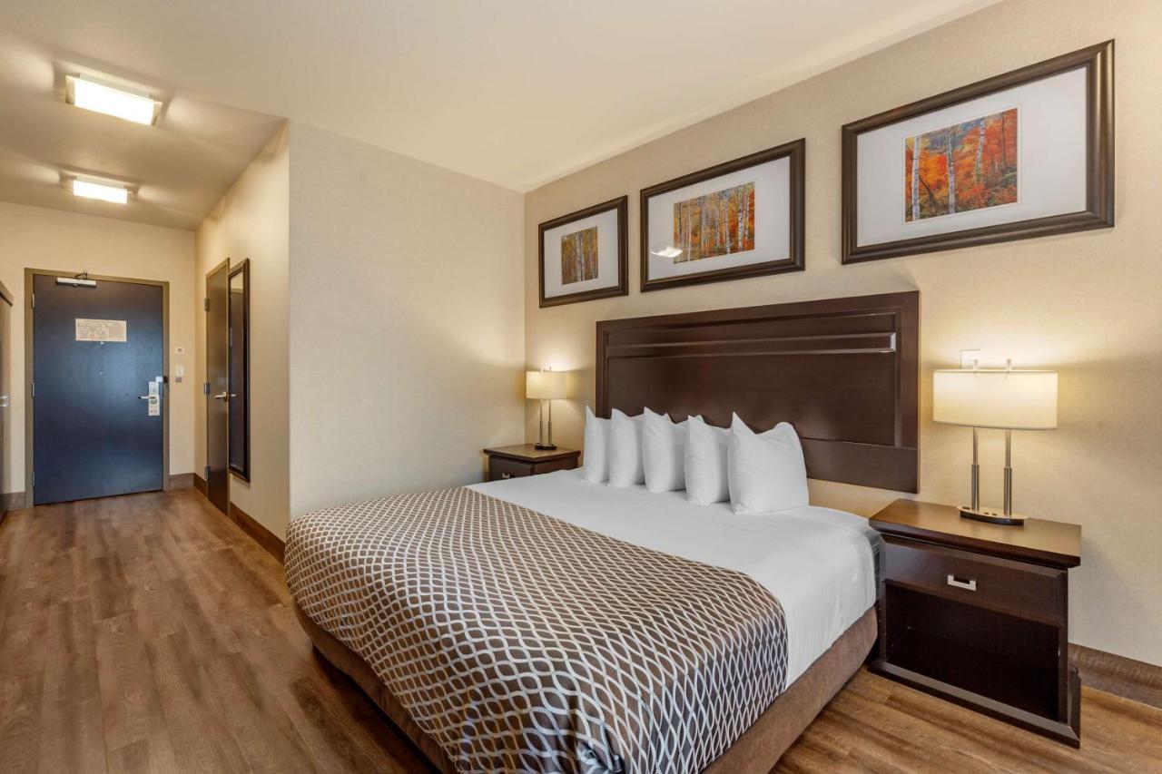 Western The At St 3* Saint Albert