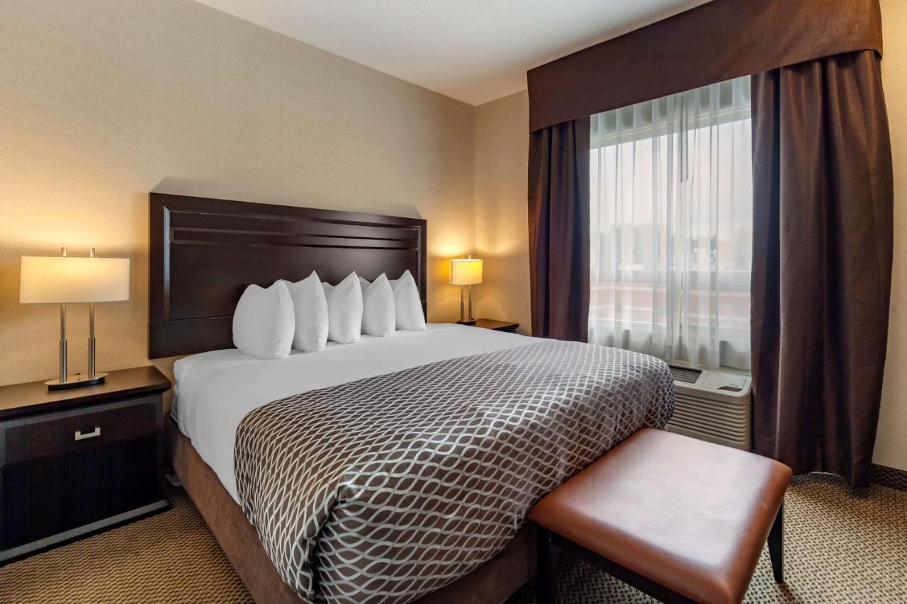Western The At St 3* Saint Albert